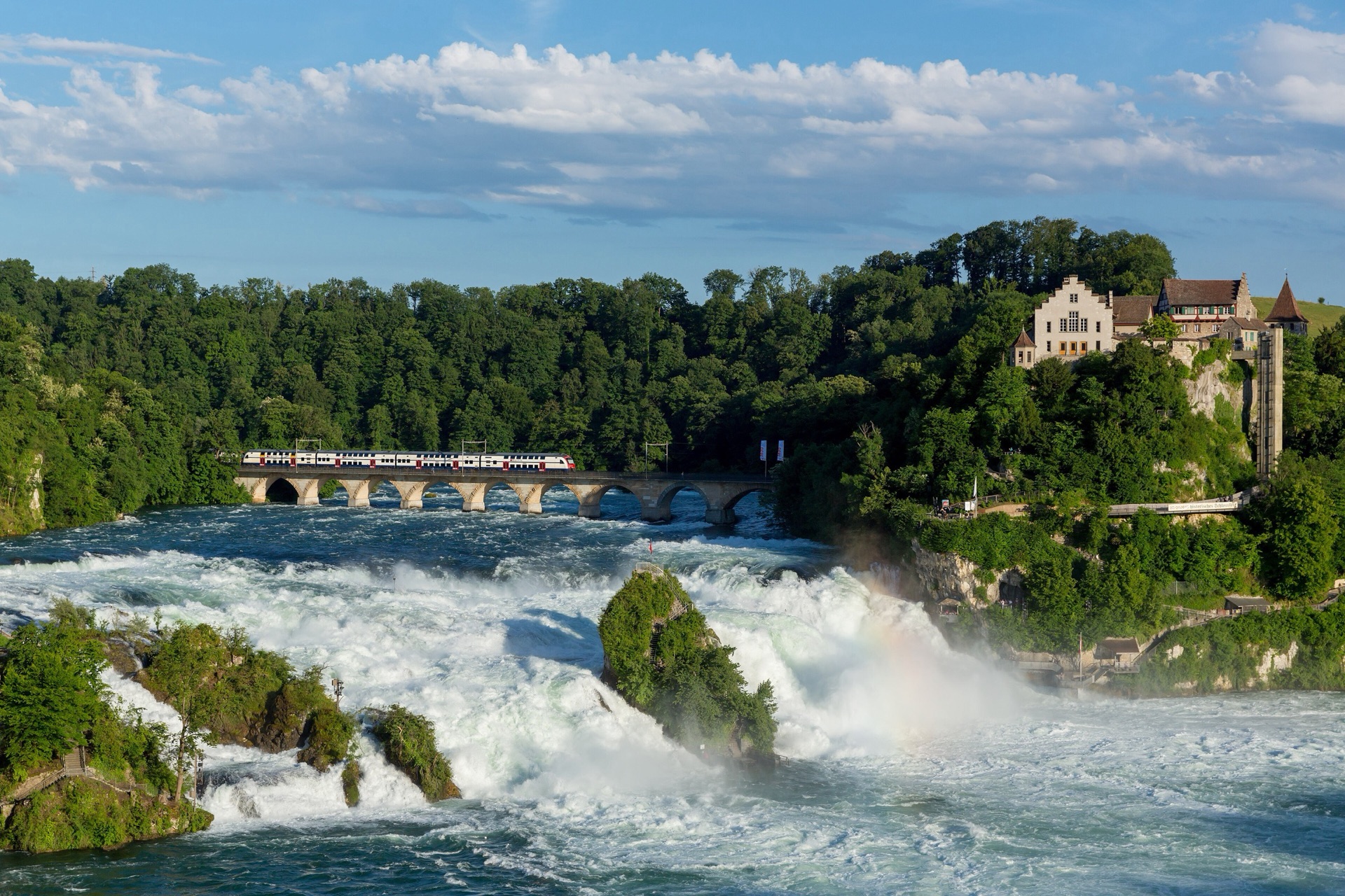 Rhine Falls - 4