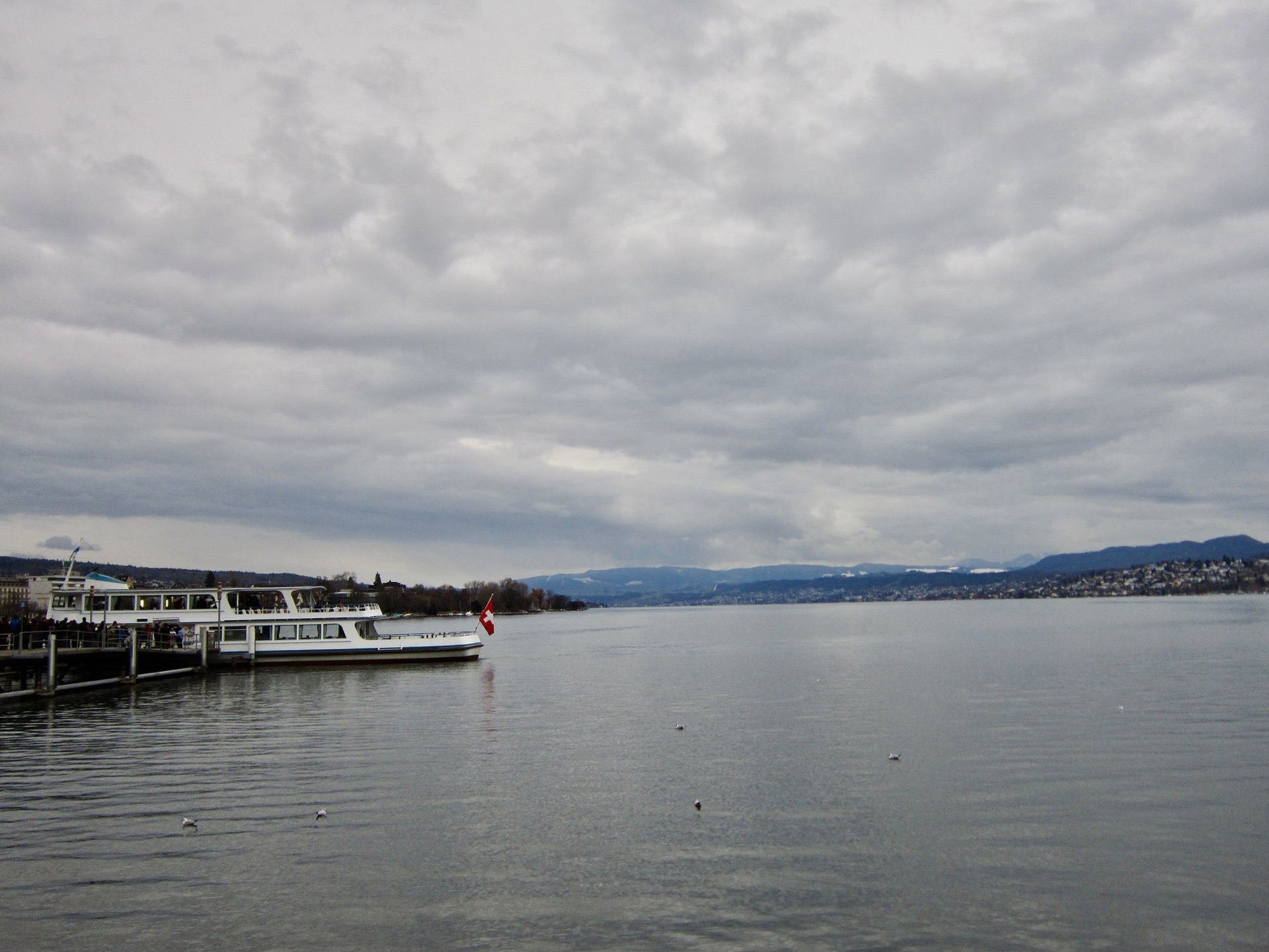 Lake Zurich - 4