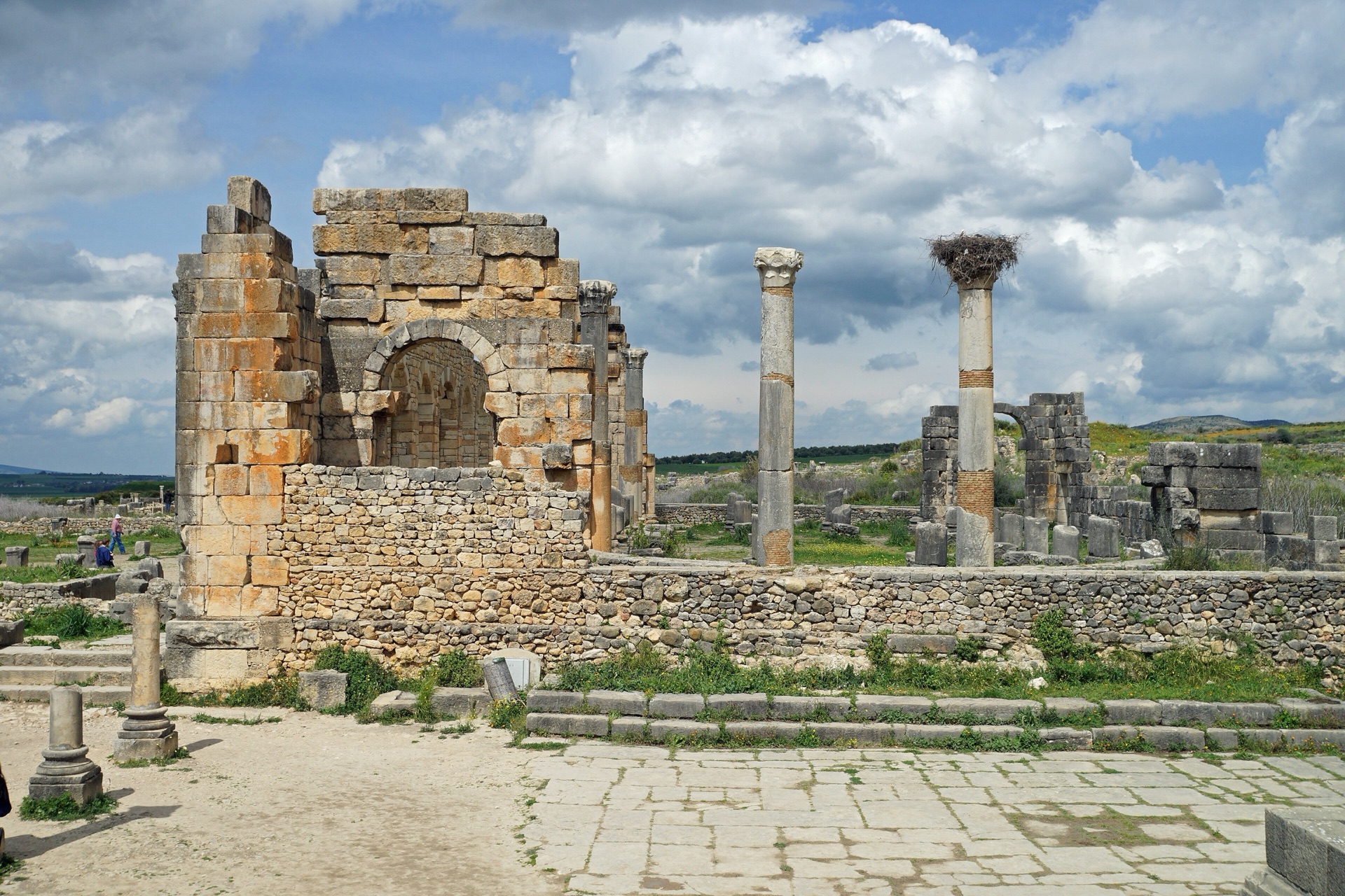 Volubilis - 3