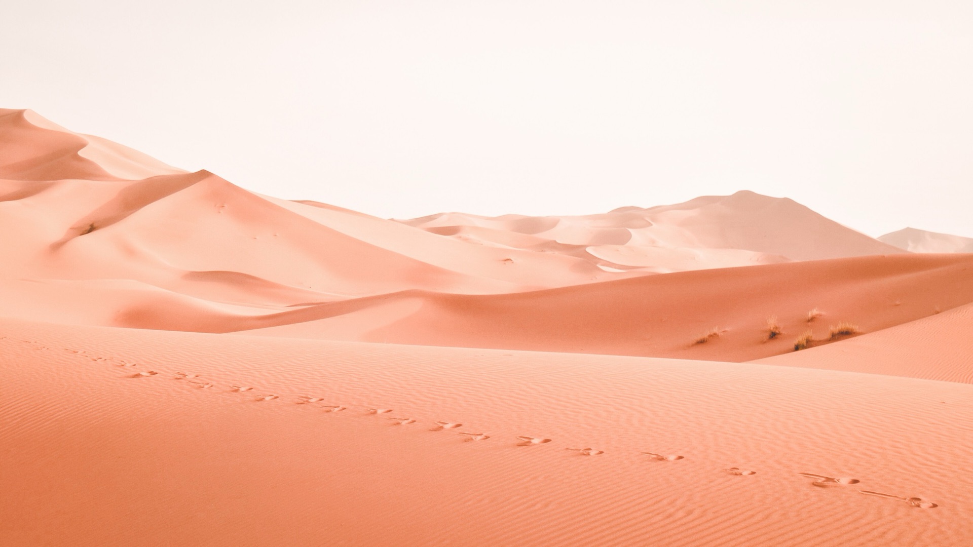 Erg Chebbi dunes Merzouga - 4