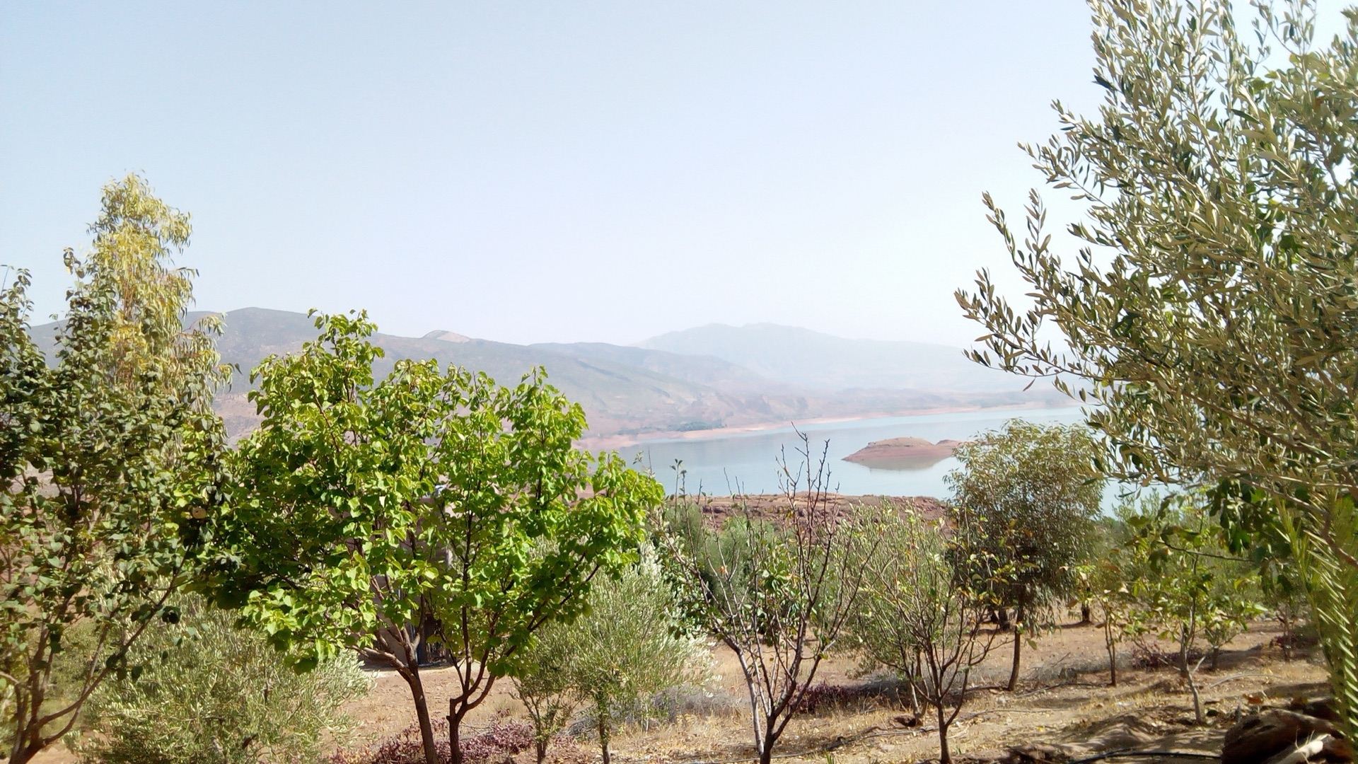 Bin el Ouidane dam - 4