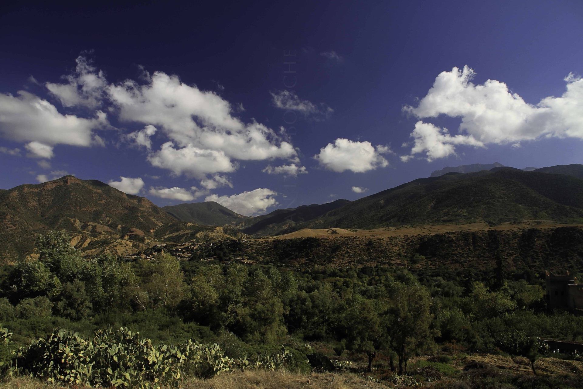 Ourika Valley - 4