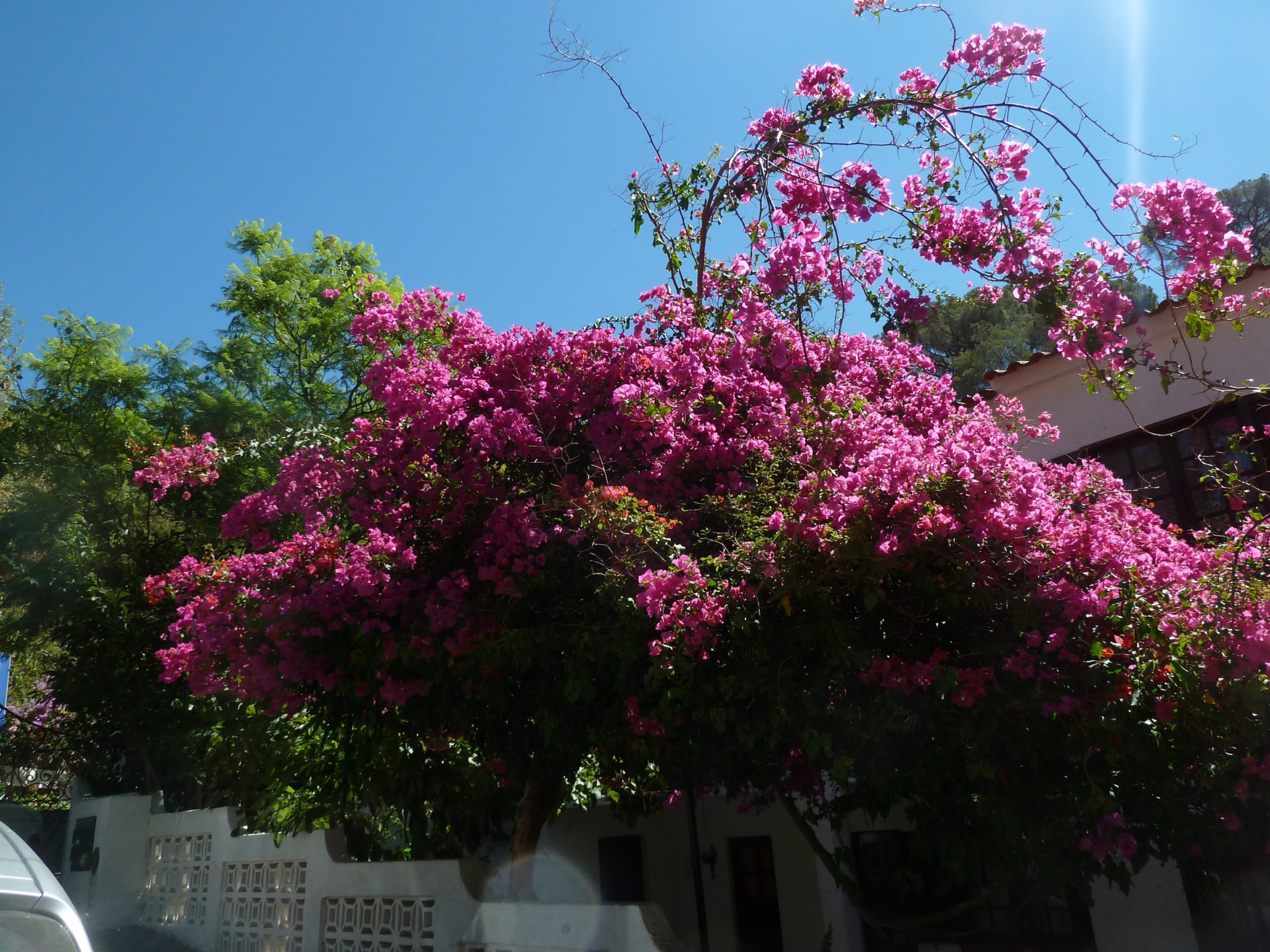Algarve - 3